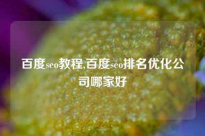 百度seo教程,百度seo排名优化公司哪家好