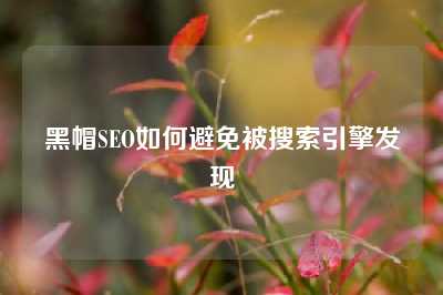 黑帽SEO如何避免被搜索引擎发现