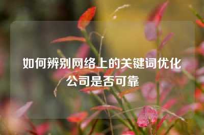 如何辨别网络上的关键词优化公司是否可靠