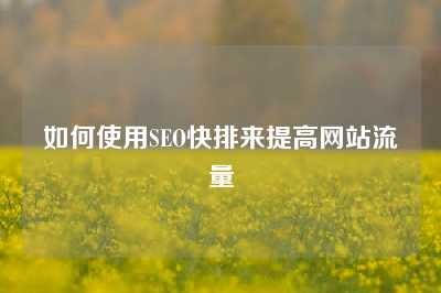 如何使用SEO快排来提高网站流量