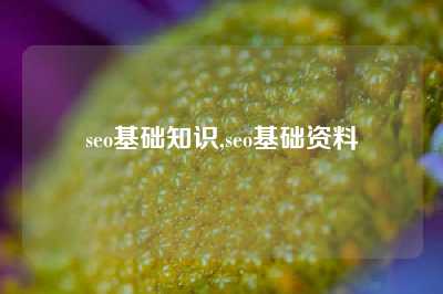 seo基础知识,seo基础资料