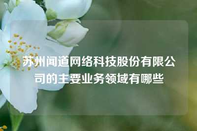 苏州闻道网络科技股份有限公司的主要业务领域有哪些