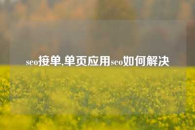 seo接单,单页应用seo如何解决