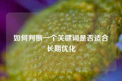 如何判断一个关键词是否适合长期优化