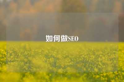 如何做SEO