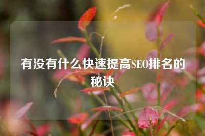 有没有什么快速提高SEO排名的秘诀