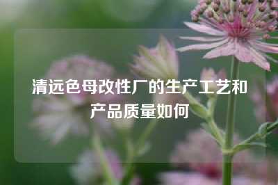 清远色母改性厂的生产工艺和产品质量如何