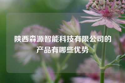 陕西森源智能科技有限公司的产品有哪些优势