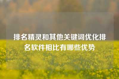 排名精灵和其他关键词优化排名软件相比有哪些优势