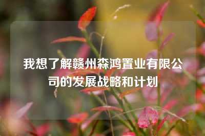 我想了解赣州森鸿置业有限公司的发展战略和计划