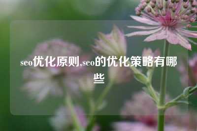 seo优化原则,seo的优化策略有哪些