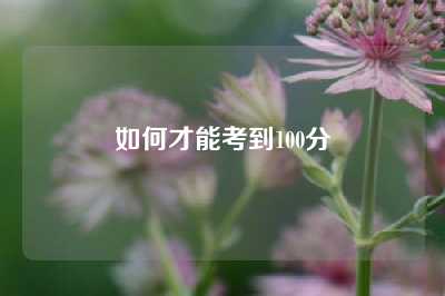 如何才能考到100分