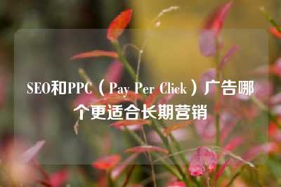 SEO和PPC（Pay Per Click）广告哪个更适合长期营销