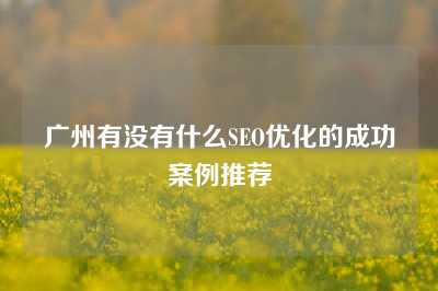 广州有没有什么SEO优化的成功案例推荐