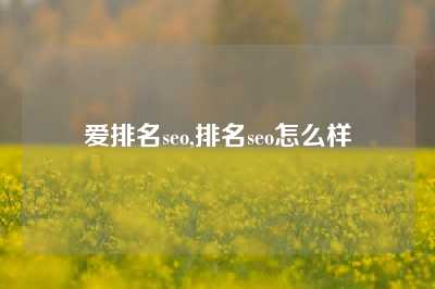 爱排名seo,排名seo怎么样