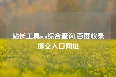 站长工具seo综合查询,百度收录提交入口网址