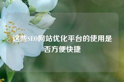 这些SEO网站优化平台的使用是否方便快捷