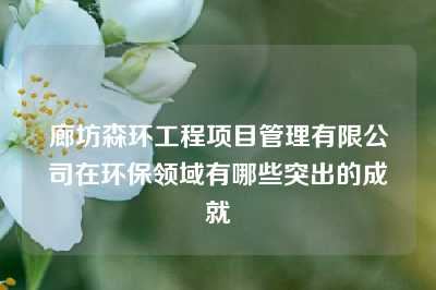 廊坊森环工程项目管理有限公司在环保领域有哪些突出的成就