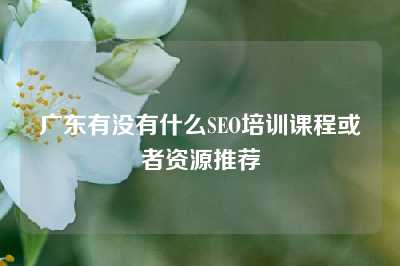 广东有没有什么SEO培训课程或者资源推荐