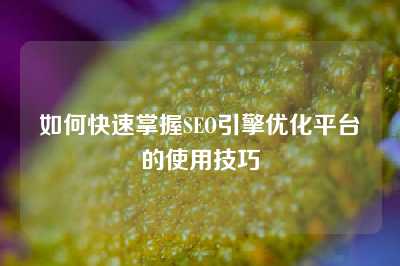 如何快速掌握SEO引擎优化平台的使用技巧