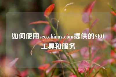 如何使用seo.chinaz.com提供的SEO工具和服务