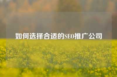 如何选择合适的SEO推广公司