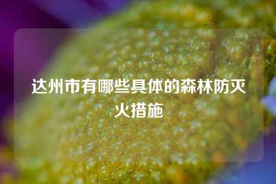 达州市有哪些具体的森林防灭火措施