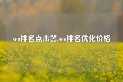 seo排名点击器,seo排名优化价格