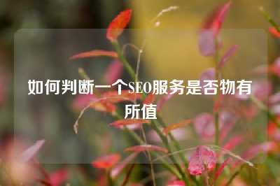 如何判断一个SEO服务是否物有所值