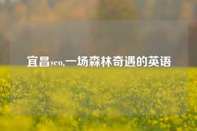 宜昌seo,一场森林奇遇的英语