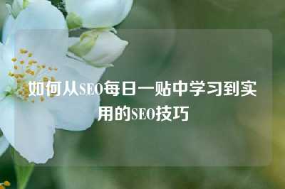 如何从SEO每日一贴中学习到实用的SEO技巧