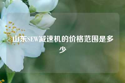 山东SEW减速机的价格范围是多少