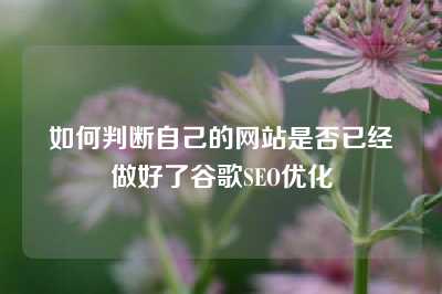 如何判断自己的网站是否已经做好了谷歌SEO优化