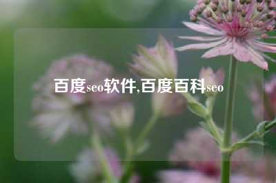 百度seo软件,百度百科seo