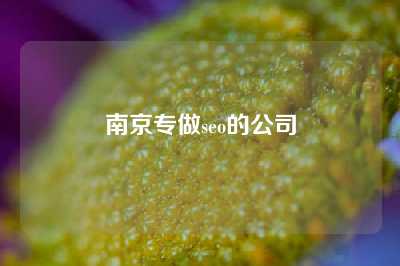 南京专做seo的公司