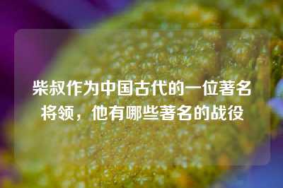 柴叔作为中国古代的一位著名将领，他有哪些著名的战役