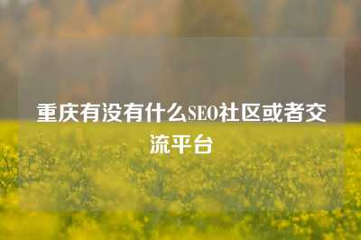 重庆有没有什么SEO社区或者交流平台