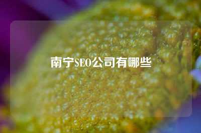 南宁SEO公司有哪些