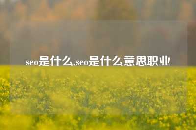 seo是什么,seo是什么意思职业