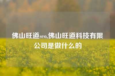 佛山旺道seo,佛山旺道科技有限公司是做什么的