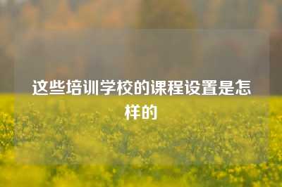 这些培训学校的课程设置是怎样的