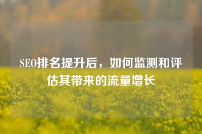 SEO排名提升后，如何监测和评估其带来的流量增长