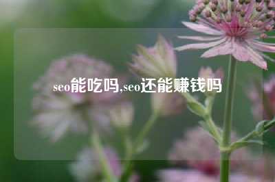 seo能吃吗,seo还能赚钱吗