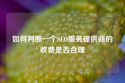 如何判断一个SEO服务提供商的收费是否合理