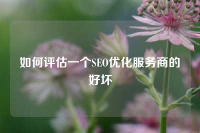 如何评估一个SEO优化服务商的好坏