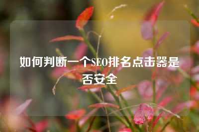 如何判断一个SEO排名点击器是否安全