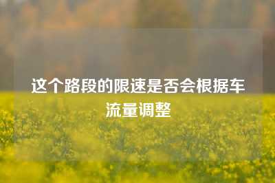 这个路段的限速是否会根据车流量调整