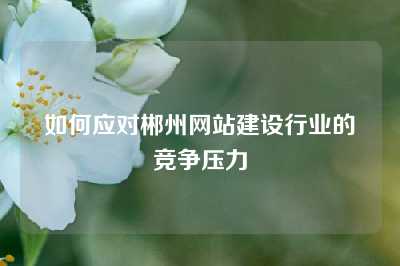 如何应对郴州网站建设行业的竞争压力