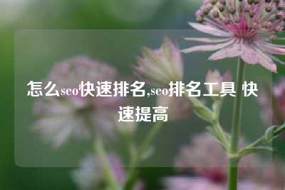 怎么seo快速排名,seo排名工具 快速提高