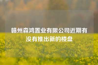 赣州森鸿置业有限公司近期有没有推出新的楼盘